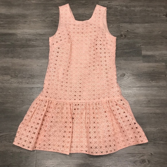 J. Crew Dresses & Skirts - J. Crew Anna Dress in Organza Eyelet Light Pink 6